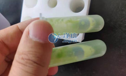 凈信全自動樣品快速研磨儀|浙江大學(xué)定量水稻葉片研磨實(shí)驗(yàn)